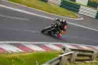 Middle Group Black Bikes